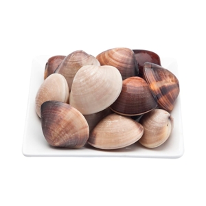 Frozen Hard Shell Clam Per Kg