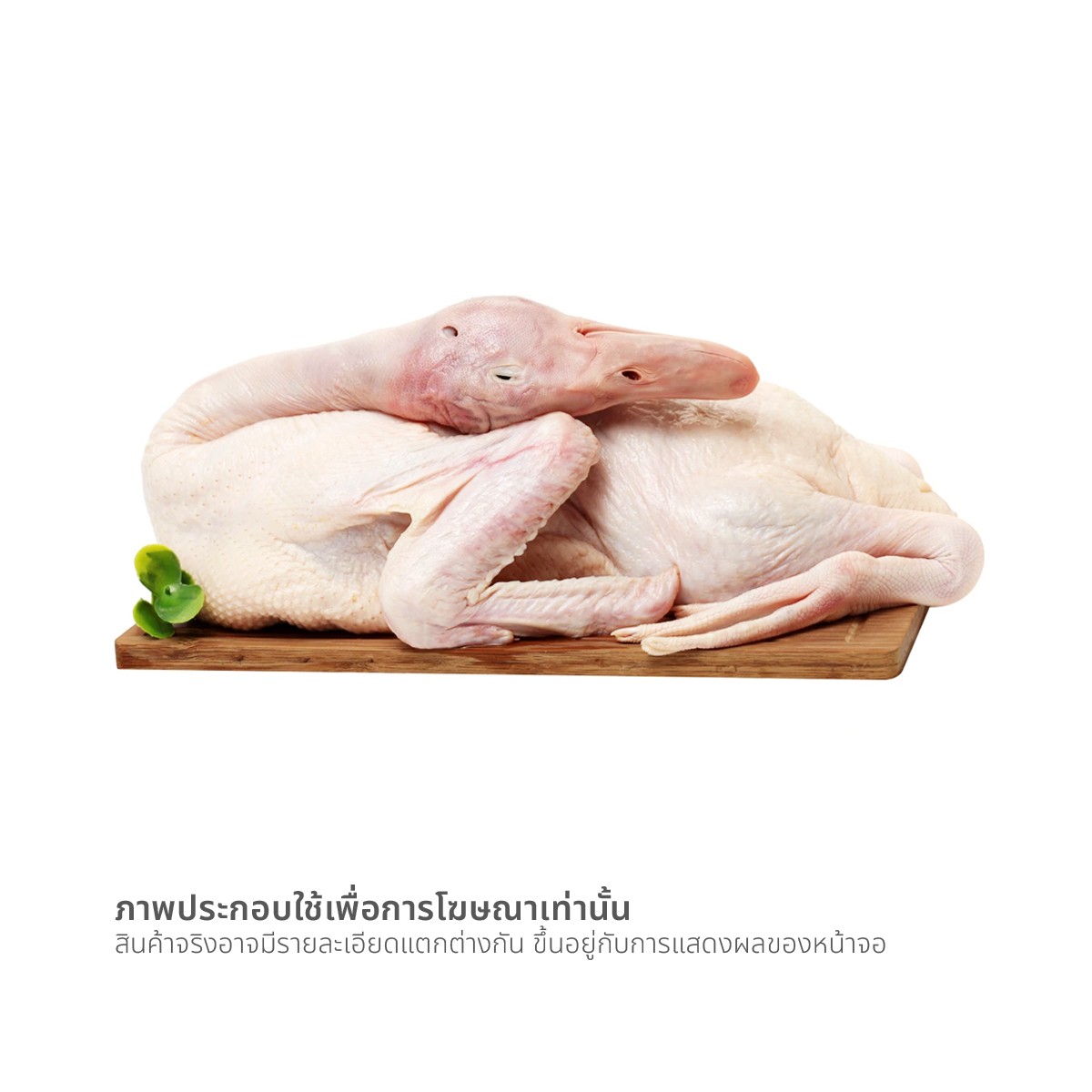 ดาลี เป็ดตัวคัดพิเศษ ขนาด L (เฉลี่ยตัวละ 2.6-2.8 กก.)_1