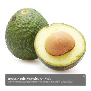 อโวคาโดไทย แพ็ค 2_thumbnail_1