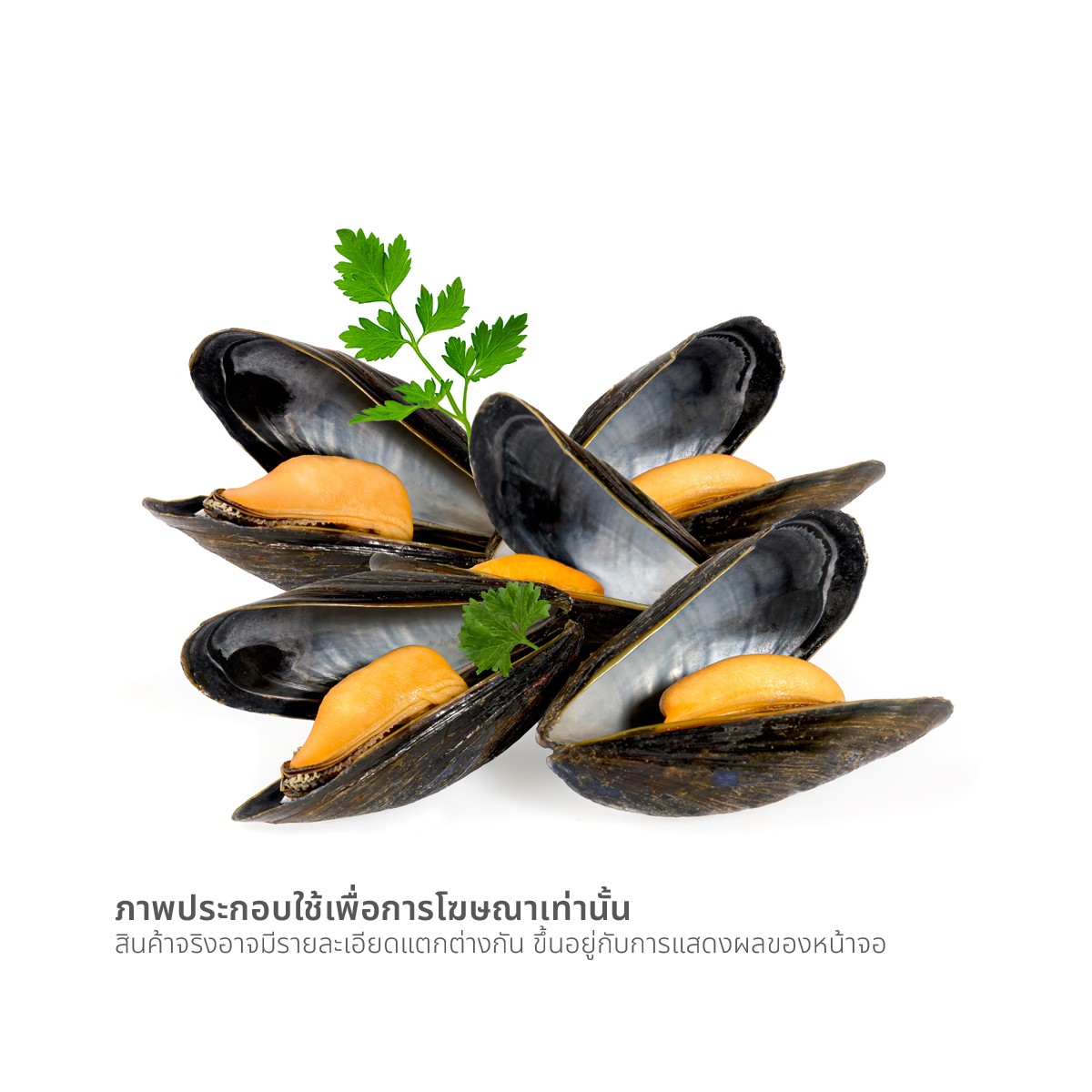วี อาร์ เฟร็ช หอยแมลงภู่ครึ่งฝา (20-30 ตัว) 800 ก._1