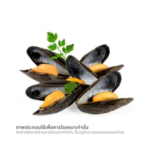 วี อาร์ เฟร็ช หอยแมลงภู่ครึ่งฝา (20-30 ตัว) 800 ก._thumbnail_1
