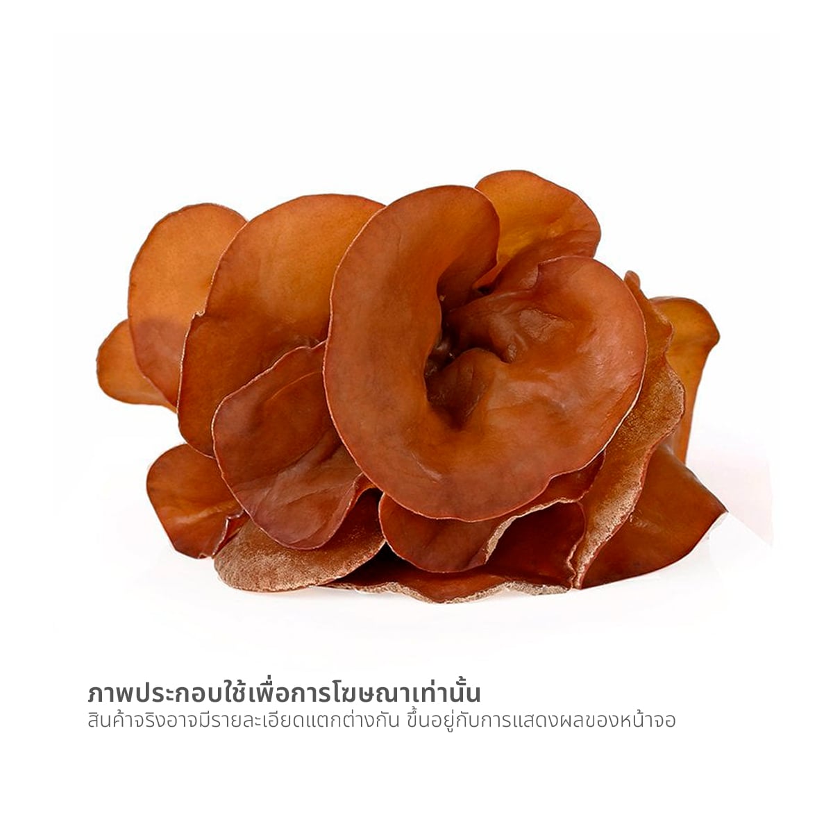 เห็ดหูหนู 100 ก._2