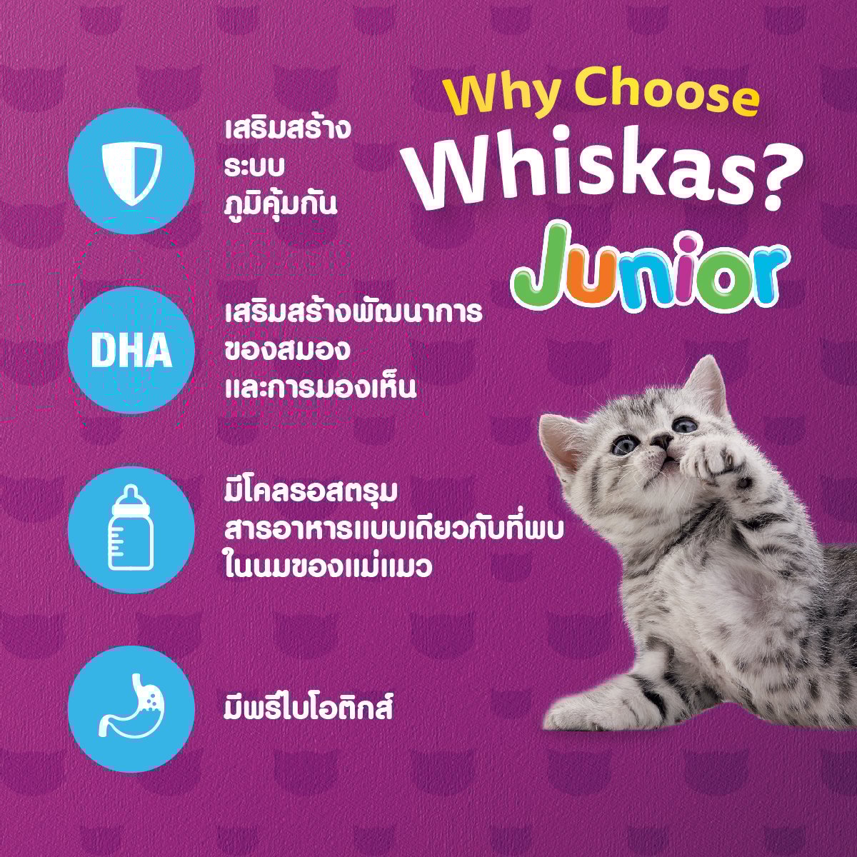 วิสกัส อาหารแมว ชนิดเม็ด สูตรลูกแมว รสปลาทะเลและนม 1.1 ก._4