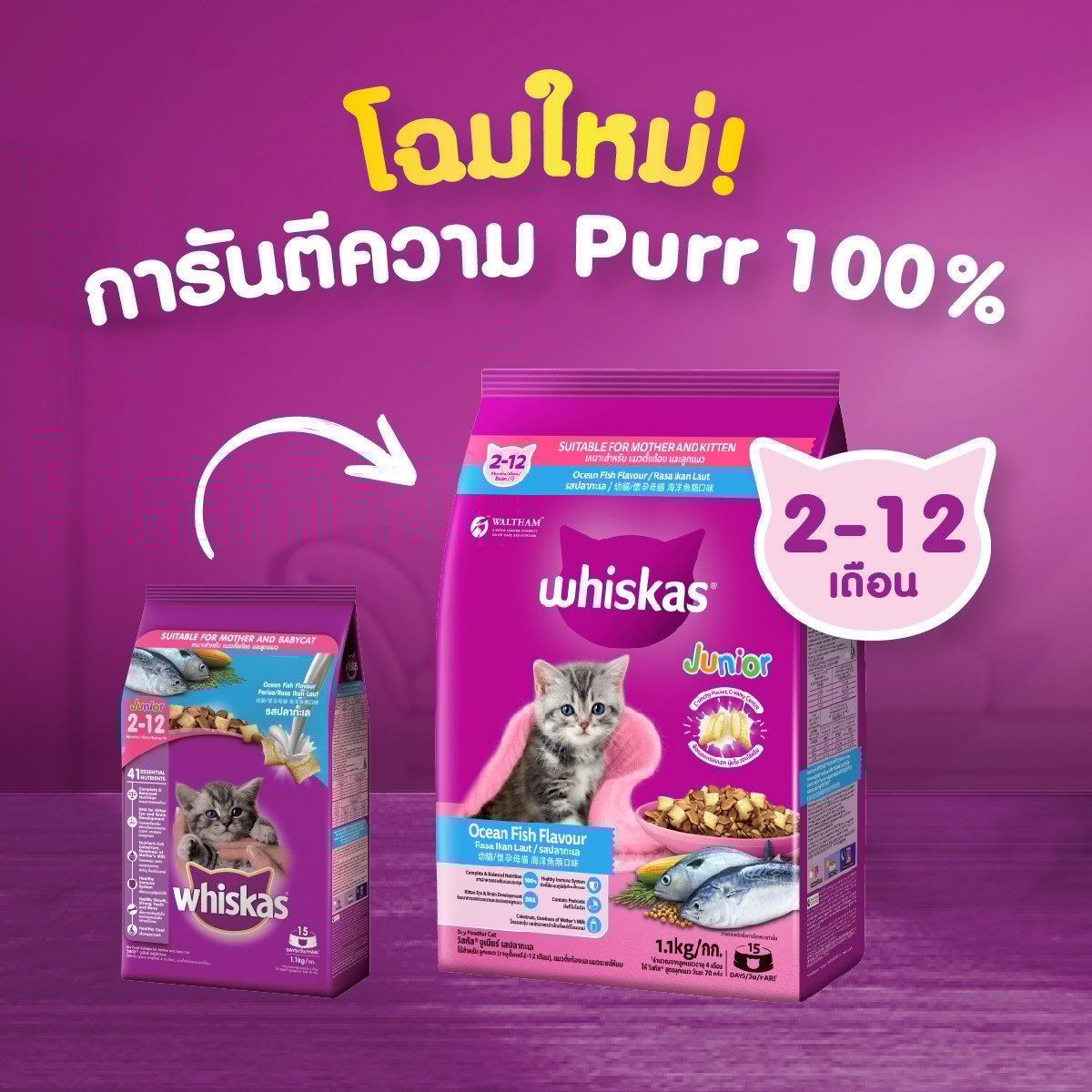 วิสกัส อาหารแมว ชนิดเม็ด สูตรลูกแมว รสปลาทะเลและนม 1.1 ก._7