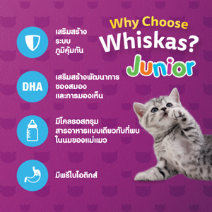 วิสกัส อาหารแมว ชนิดเม็ด สูตรลูกแมว รสปลาทะเลและนม 1.1 ก._thumbnail_4