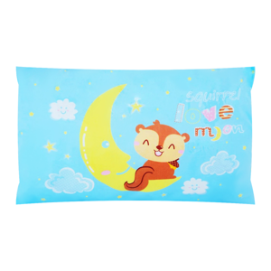Fancy Big Pillow (Assorted patterns, No selection)