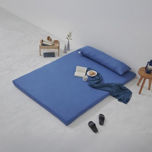 ไมดาส ท็อปเปอร์ รุ่น Basic Living 5 ฟุต หนา 4 นิ้ว สีแฟรี่บลู_thumbnail_3