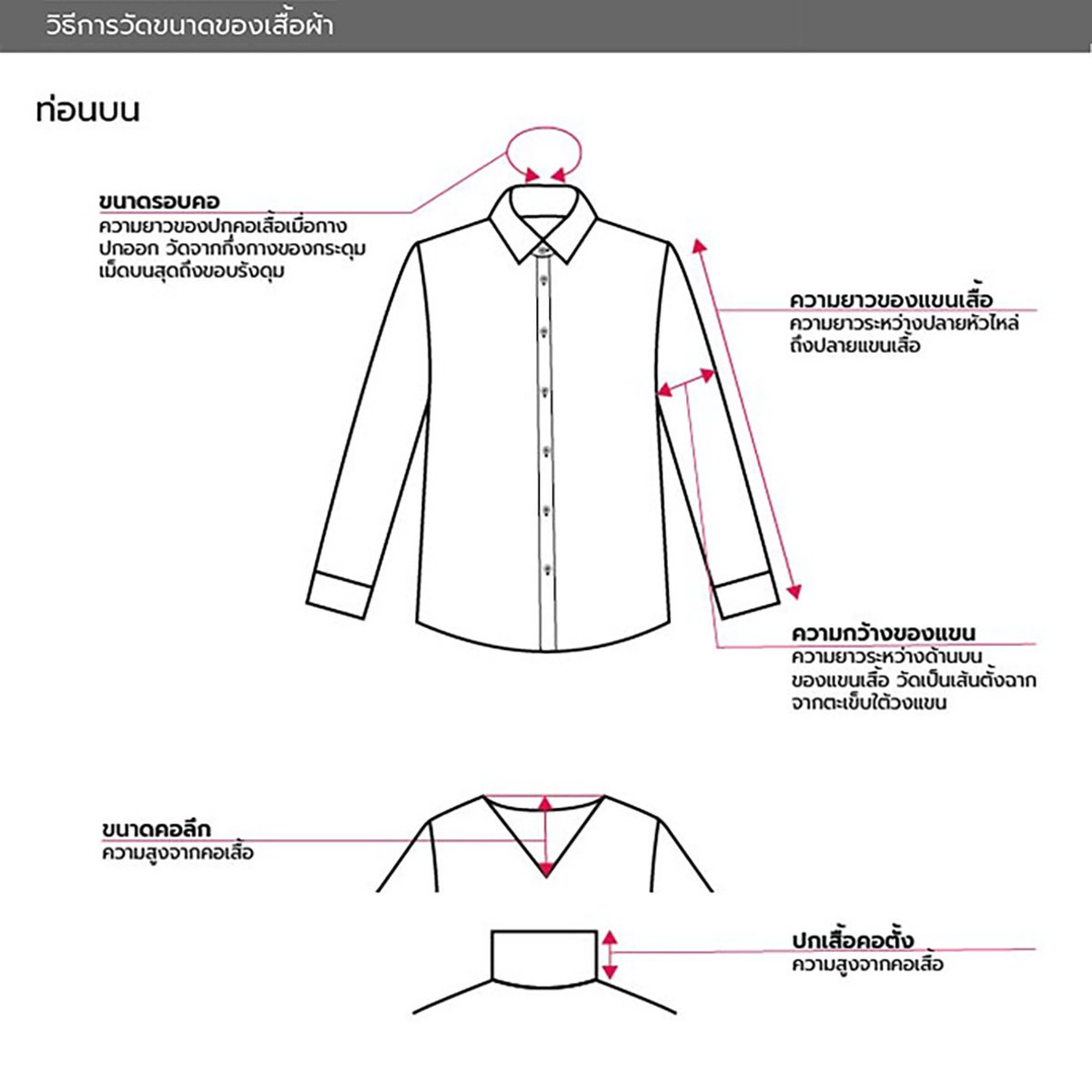 เบสิโค เสื้อโปโลแขนสั้น สำหรับผู้ชาย รุ่น BTHL22S2YM001_5
