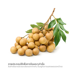 วี อาร์ เฟร็ช ลำไย_thumbnail_1