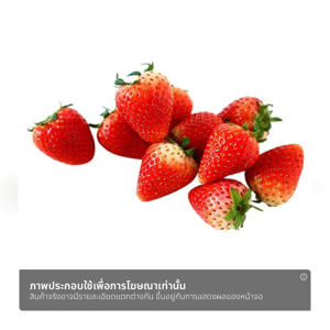 โครงการหลวง สตรอว์เบอร์รี พันธุ์พระราชทาน 89 250 ก._thumbnail_1