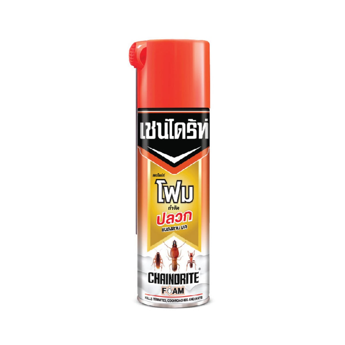 Chaindrite Foam Kills Termites 250g.