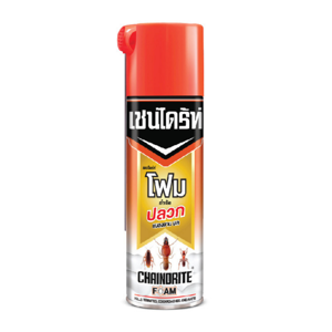 Chaindrite Foam Kills Termites 250g.