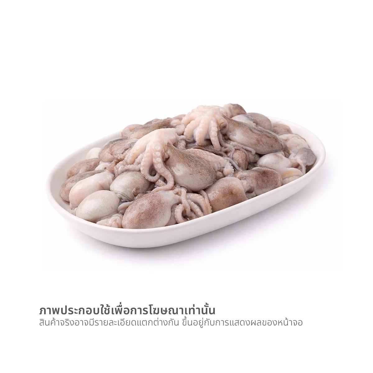 ปลาหมึกสาย (เฉลี่ย 30-40 ตัว/กก.)