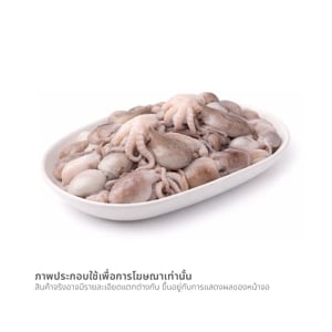 ปลาหมึกสาย (เฉลี่ย 30-40 ตัว/กก.)_thumbnail