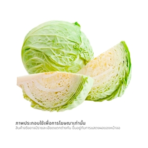 วี อาร์ เฟร็ช กะหล่ำปลี แพ็ค_thumbnail