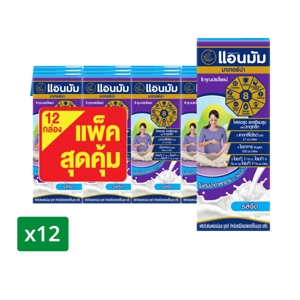 ANMUM Materna UHT Partially Non Fat Milk Product Plain 180 ml. x 12 units