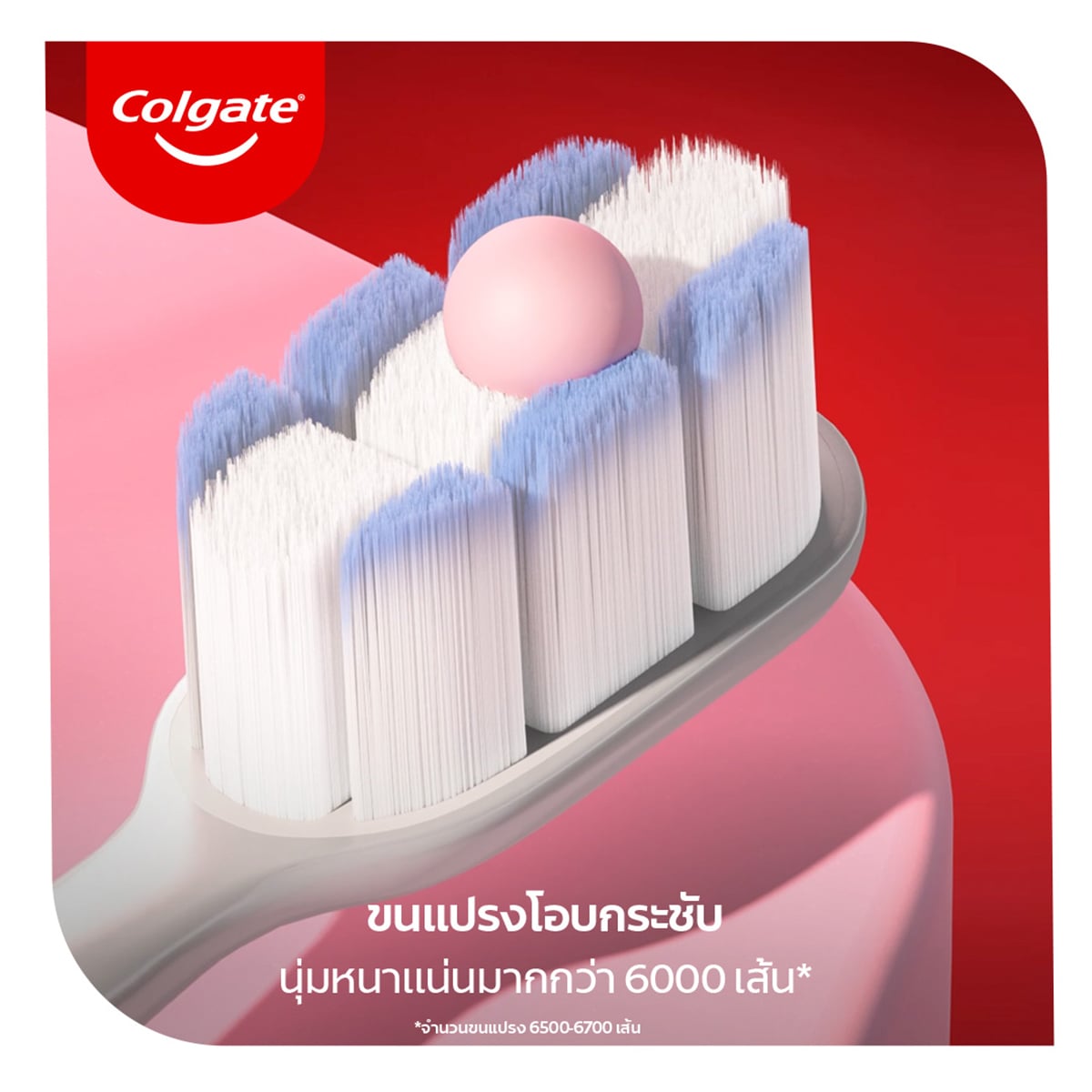 คอลเกต เจนเทิล กัมเอ็กซ์เปิร์ต แปรงสีฟัน_6