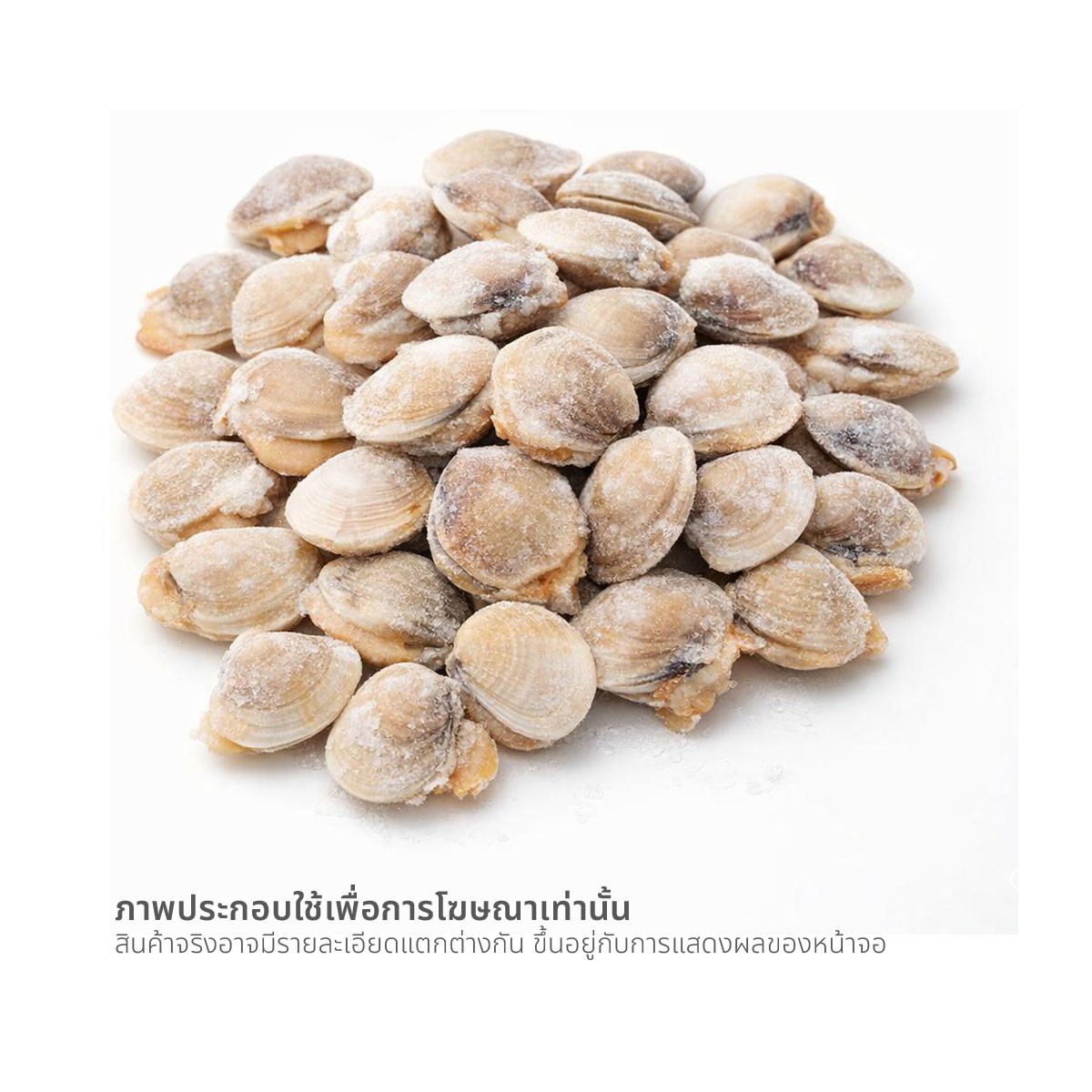 วี อาร์ เฟร็ช หอยตลับแช่แข็ง (45-60 ตัว / กก.) 1 กก._2