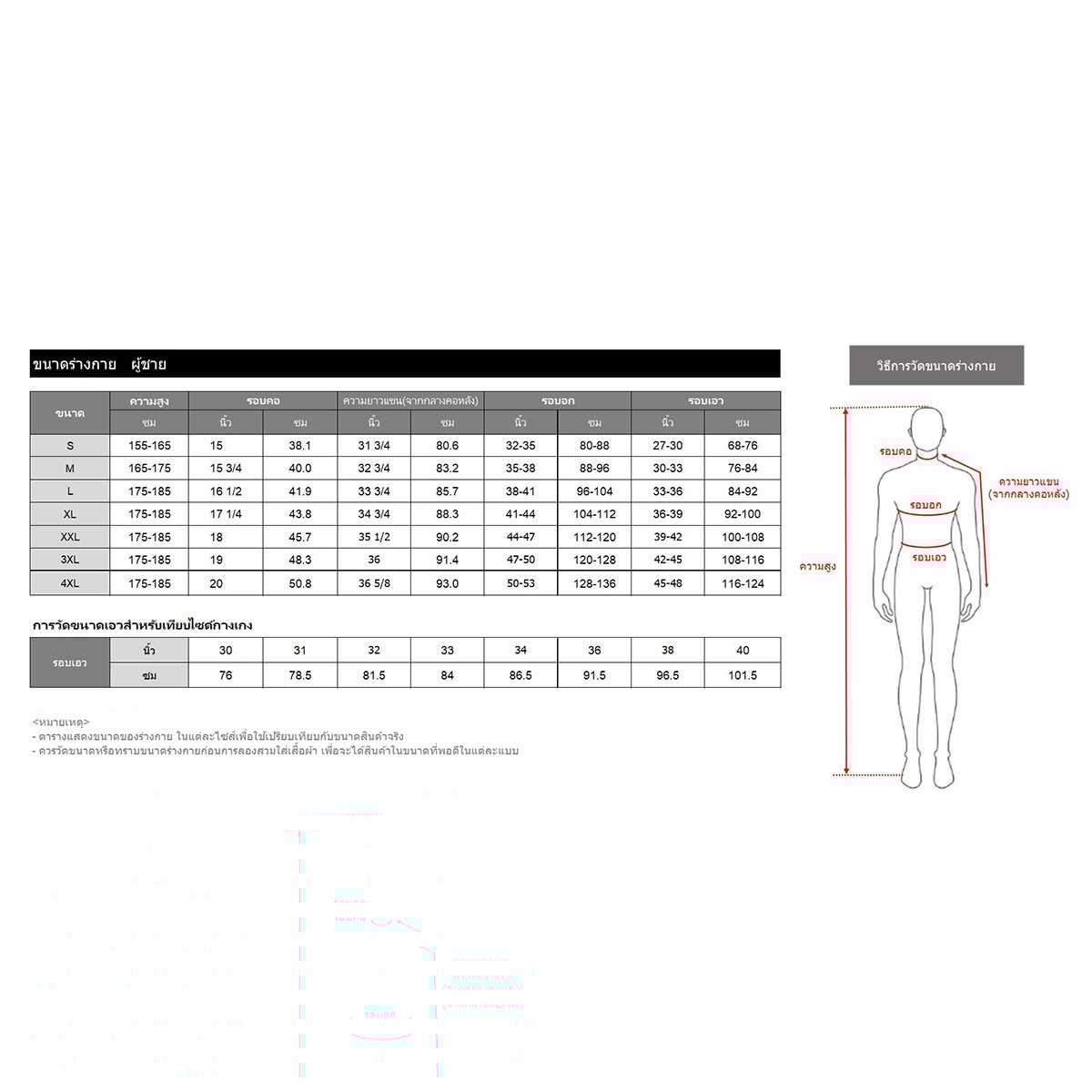 เบสิโค เสื้อยืดผู้ชาย รุ่น BEXP24Q4MM001_4