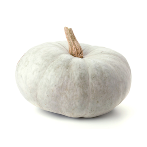 Royal Project White Pumpkin Per KG