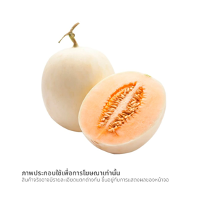 แคนตาลูปซันเลดี้