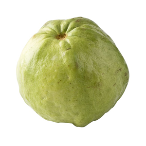 ฝรั่งแป้นทอง