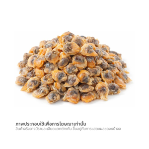 วี อาร์ เฟร็ช เนื้อหอยแครงต้ม (200-300 ตัว / กก.) 1 กก._thumbnail_2