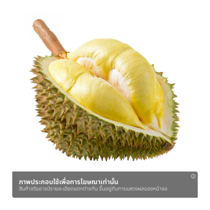ทุเรียนหมอนทอง_thumbnail_1