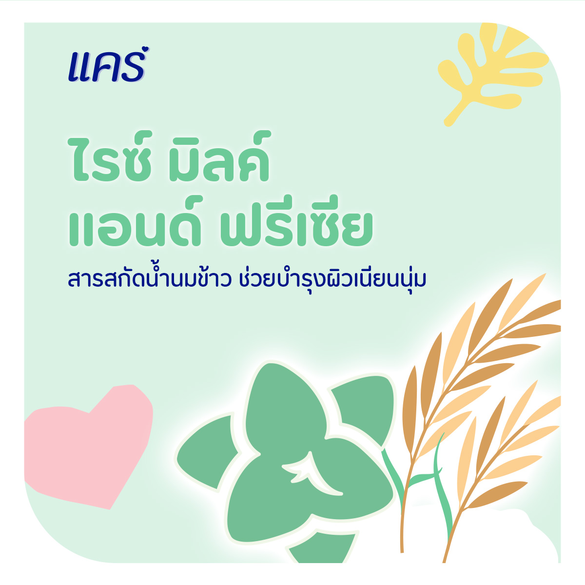 แคร์ ไรซ์มิลค์ แอนด์ ฟรีเซีย แป้งเด็ก 350 ก. แพ็คคู่_3