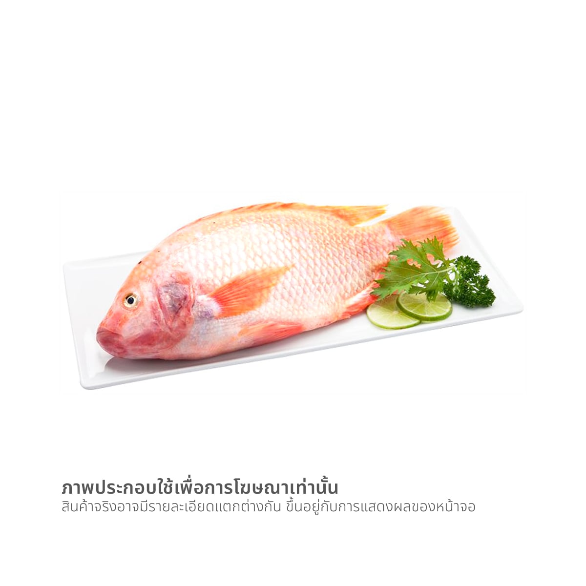ปลาทับทิม ขนาด 400-600 ก. / ตัว_1