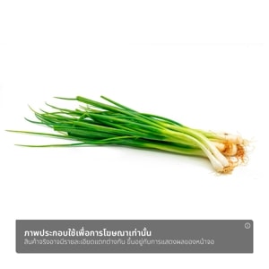 บิ๊กซี ต้นหอม แบบแพ็ค_thumbnail_1