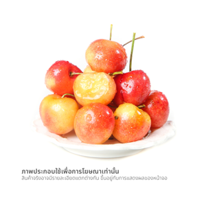 นอร์ธเวสต์เชอร์รี เชอร์รี่ทอง พันธุ์เรนเนียร์ นำเข้า 250 ก._thumbnail_1