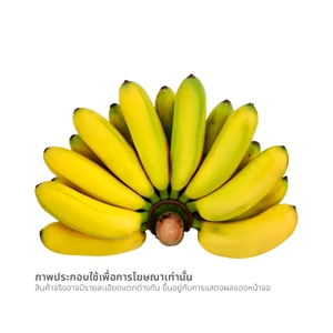 กล้วยไข่