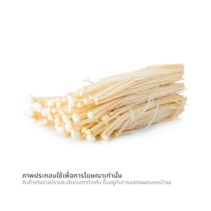 วี อาร์ เฟร็ช เห็ดเข็มทอง 500 ก._thumbnail_1