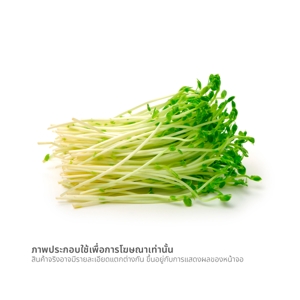 ผักโต้วเหมี่ยว 100 ก._thumbnail_1
