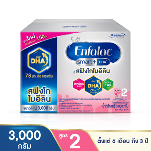ENFALAC 2 Smart+ Follow-on Formula 3000 g.