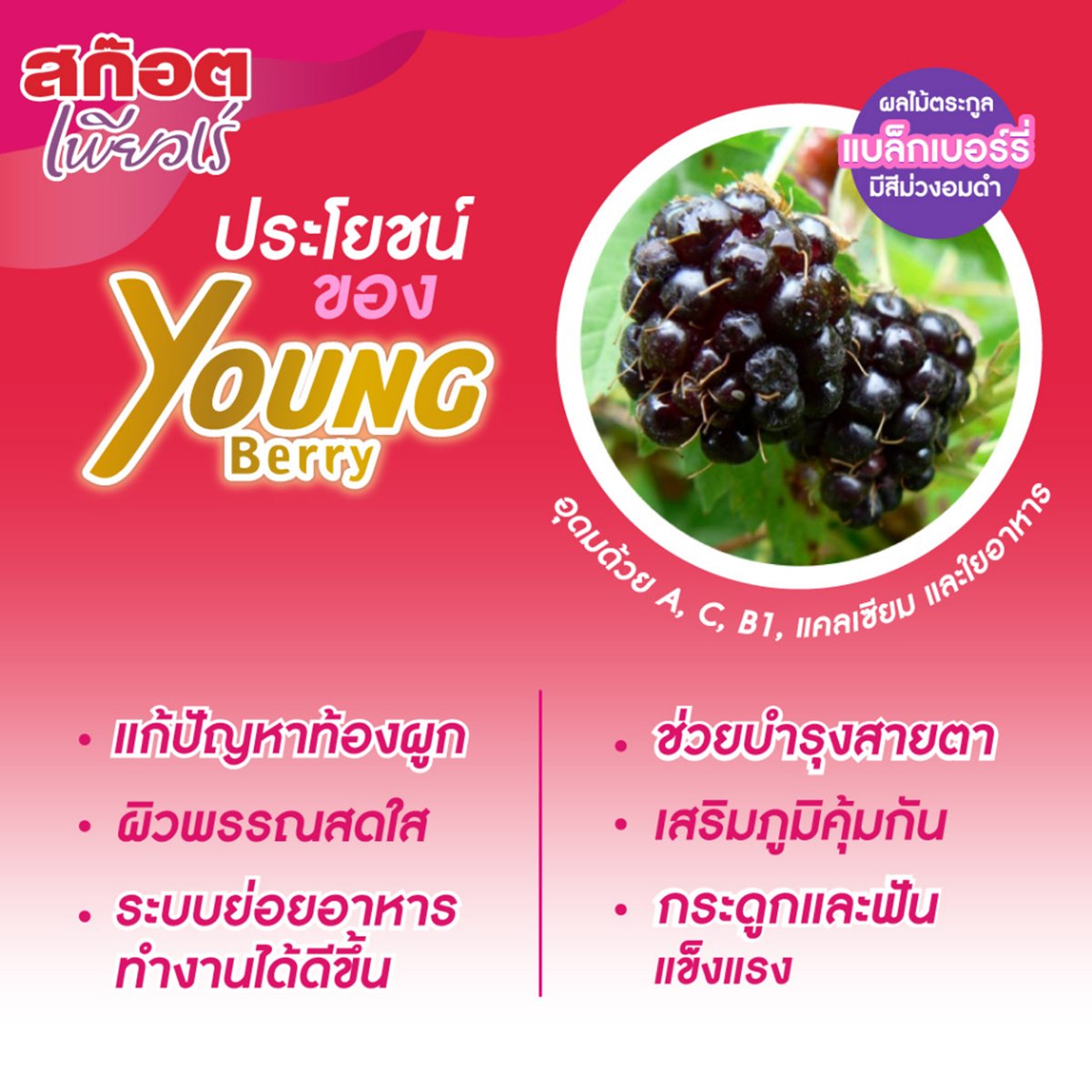 สก๊อต กิ๊ฟท์บ๊อกซ์ ชุดกล่องของขวัญ รุ่น 10B_5