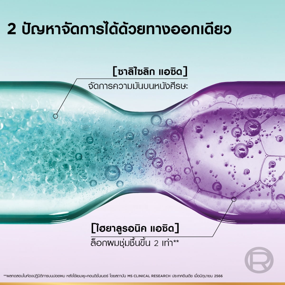 ลอรีอัล ปารีส เอลแซฟ ไฮยาลูรอนเพียว 72H เพียวริฟายอิ้ง แชมพู 280 มล._3