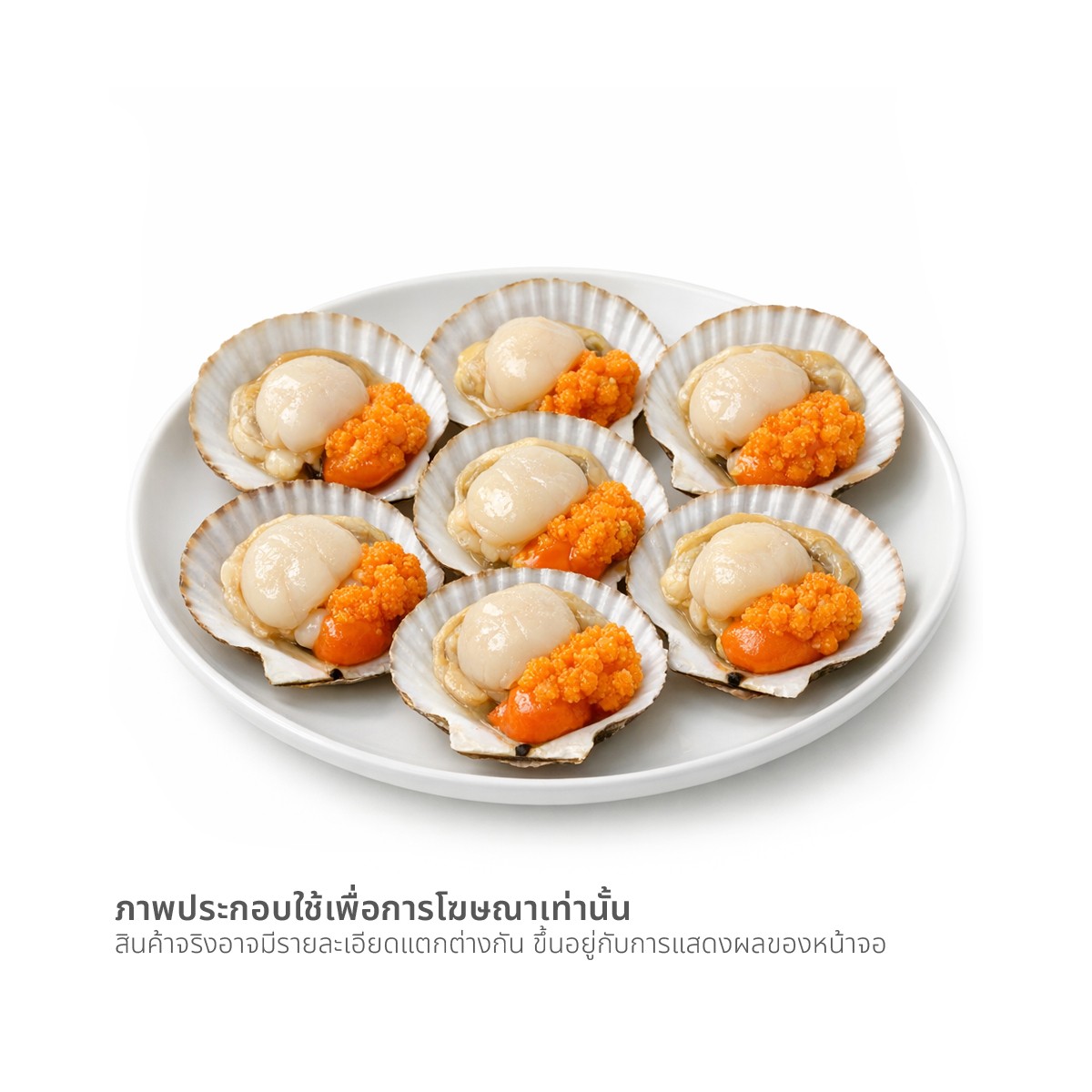 วี อาร์ เฟรช หอยเชลล์ติดไข่ครึ่งฝา 8-9 ซม. 800 ก._1