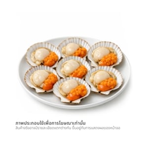วี อาร์ เฟรช หอยเชลล์ติดไข่ครึ่งฝา 8-9 ซม. 800 ก._thumbnail_1