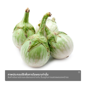 มะเขือเปราะ แพ็คละ_thumbnail_1