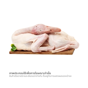 ดาลี เป็ดตัวคัดพิเศษ ขนาด XL (เฉลี่ยตัวละ 2.9-3.1 กก.)_thumbnail_1