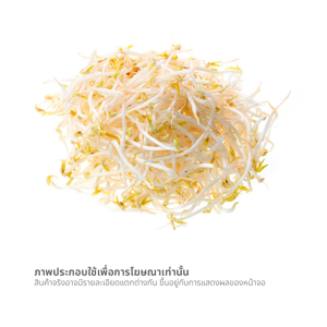 ถั่วงอกปลอดสารพิษ 200 ก._thumbnail_1