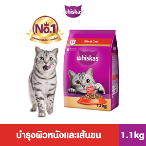 Whiskas Cat Adult Skin and Coat Cat Food Pocket 1.1kg.