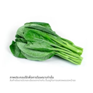 วีอาร์เฟรช คะน้ายอด ออร์แกนิค 100 ก._thumbnail_1
