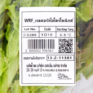 วี อาร์ เฟร็ช ไฮโดรโพนิกส์ เรดคอรัล_thumbnail_2