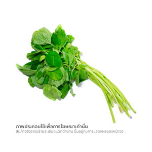 วี อาร์ เฟร็ช ผักโขมไทย 150 ก._thumbnail_1