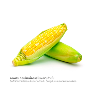 วี อาร์ เฟร็ช ข้าวโพดหวาน แพ็ค 2_thumbnail_1