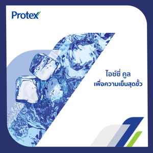 โพรเทคส์ ครีมอาบน้ำ สูตรไอซ์ซี่คูล 450 มล._thumbnail_2