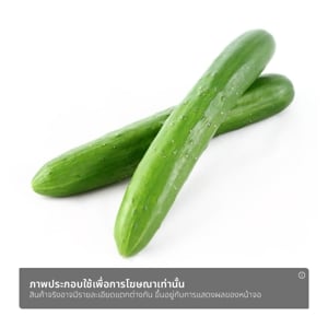 เอ็นแอนด์พี แตงกวาญี่ปุ่น ออร์แกนิค_thumbnail_1